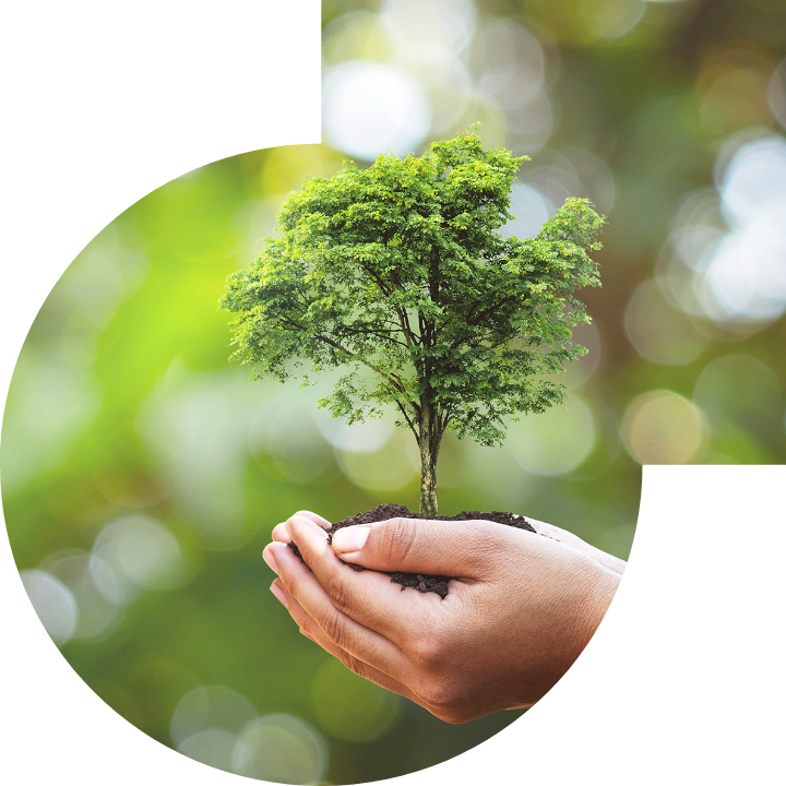 关怀人类、文化、环境与社会